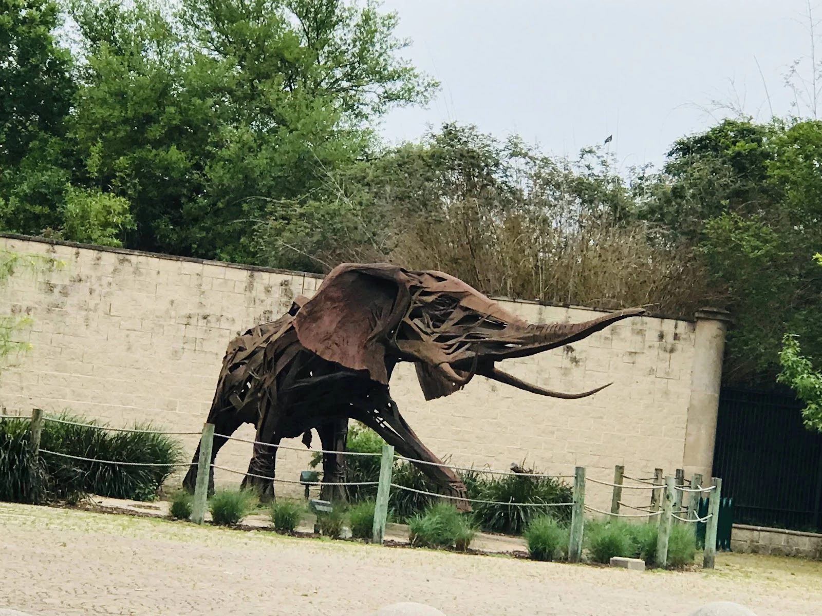 African Forest gallery 1