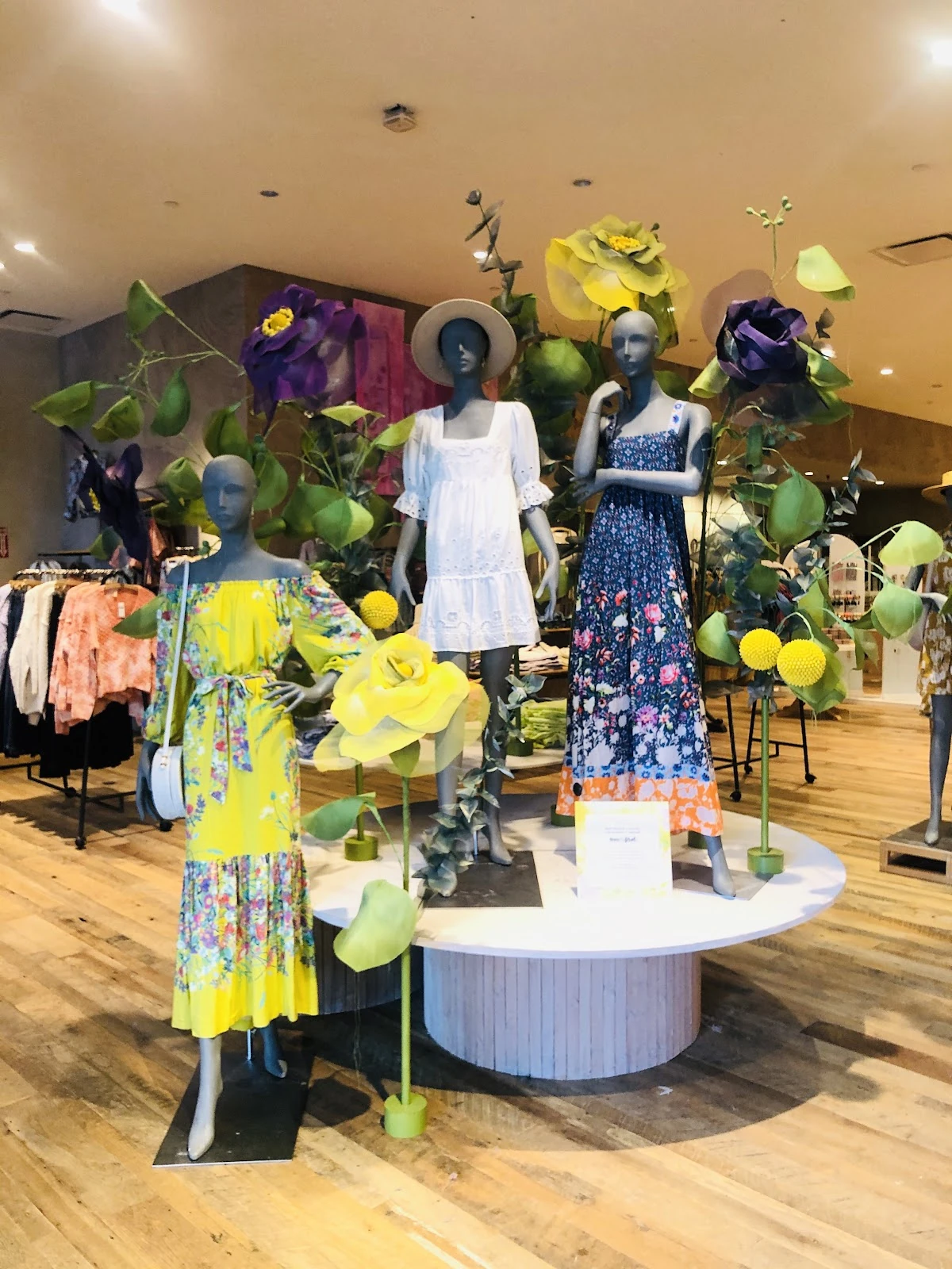 Anthropologie gallery 5