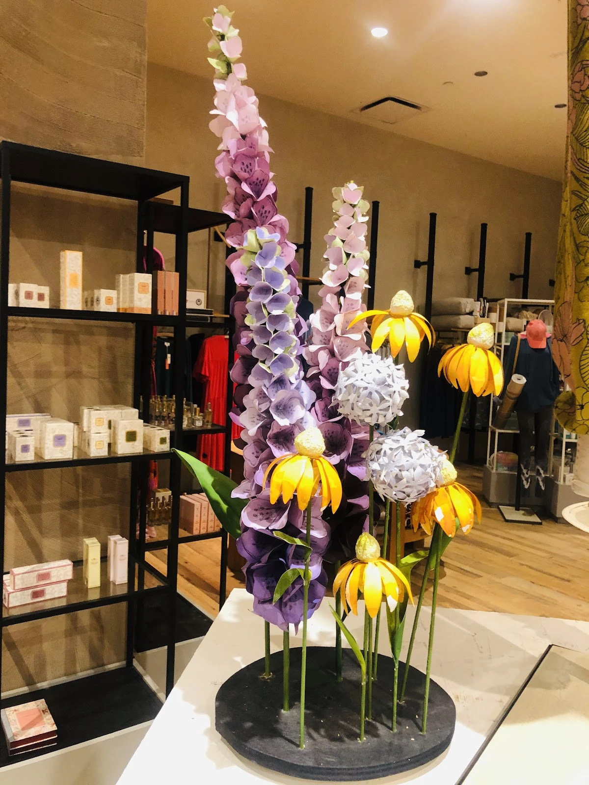 Anthropologie gallery 6