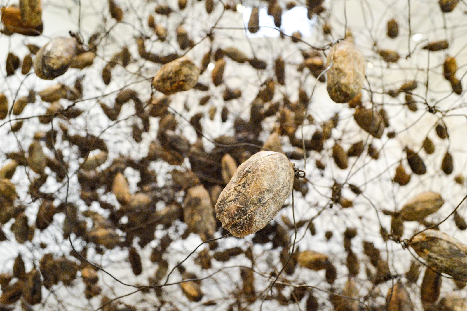 Barbara Davis Gallery gallery 3