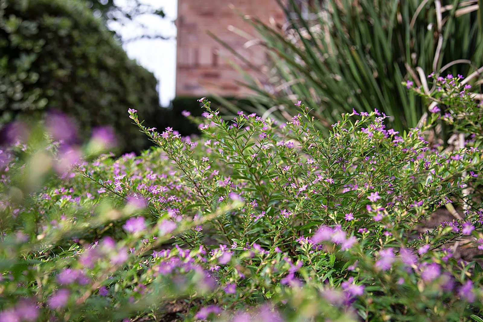 Braeswood Park gallery 1