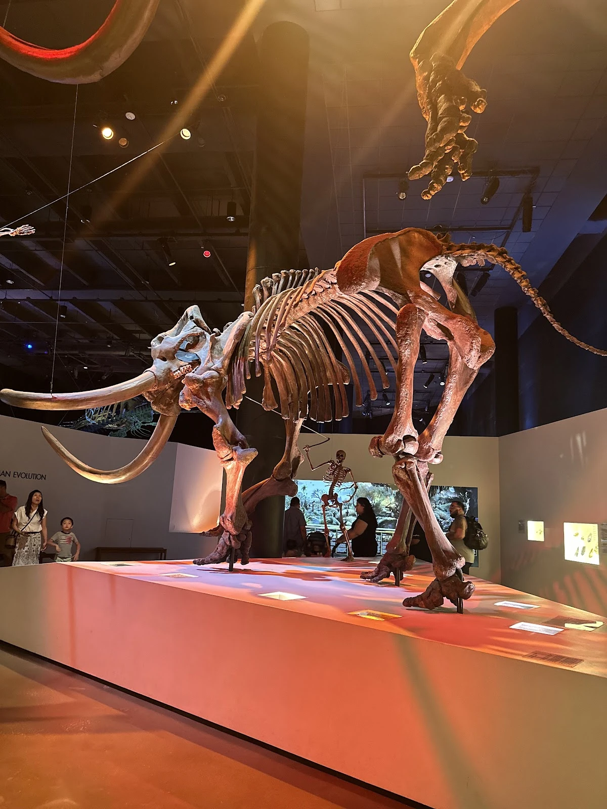 Burke Baker Planetarium gallery 3