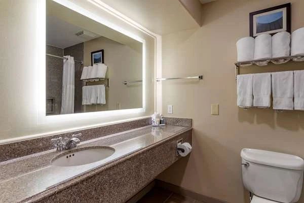 Comfort Suites Houston near Medical Center- NRG Stadium gallery 6