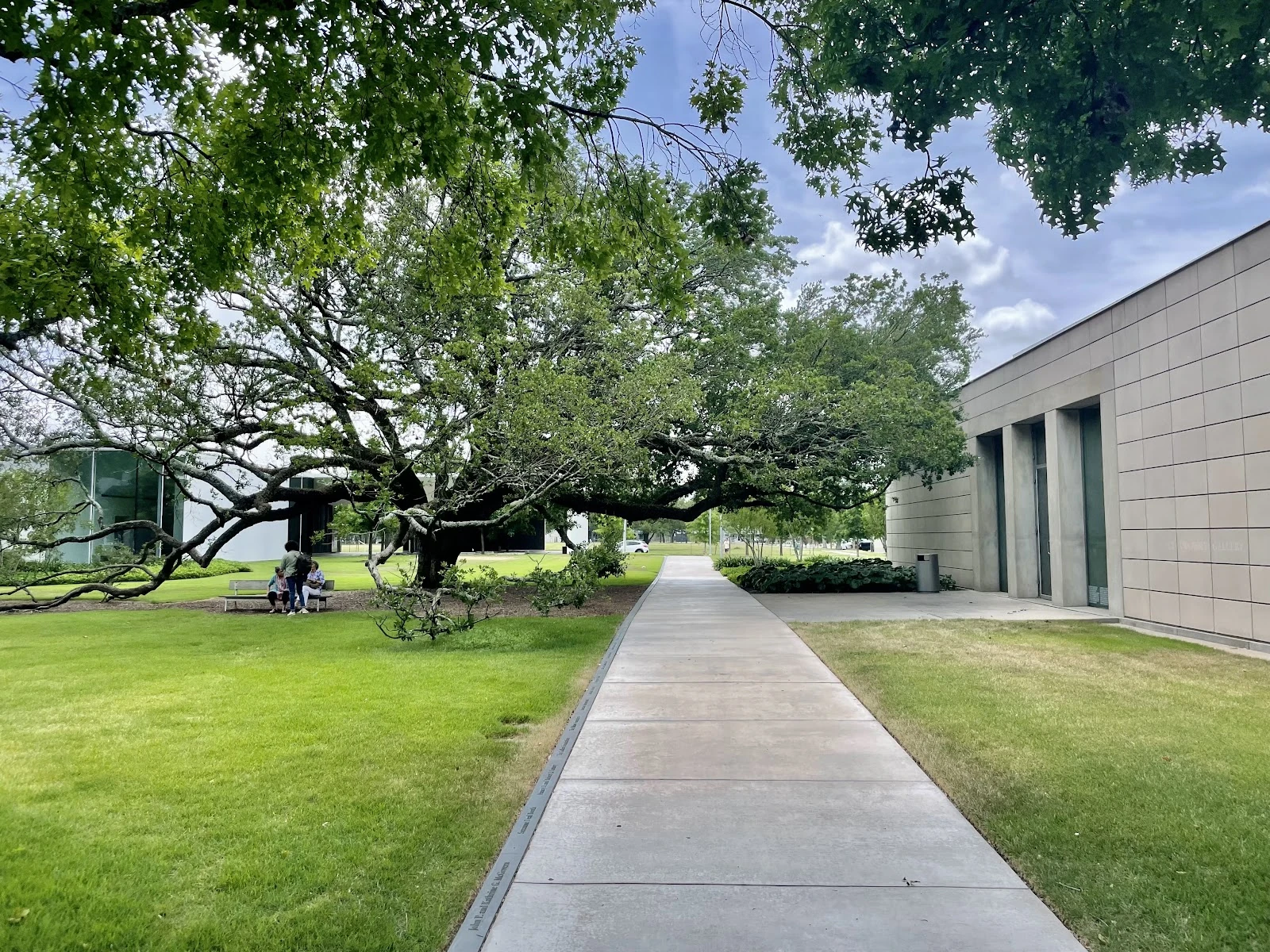 Cy Twombly Gallery gallery 1