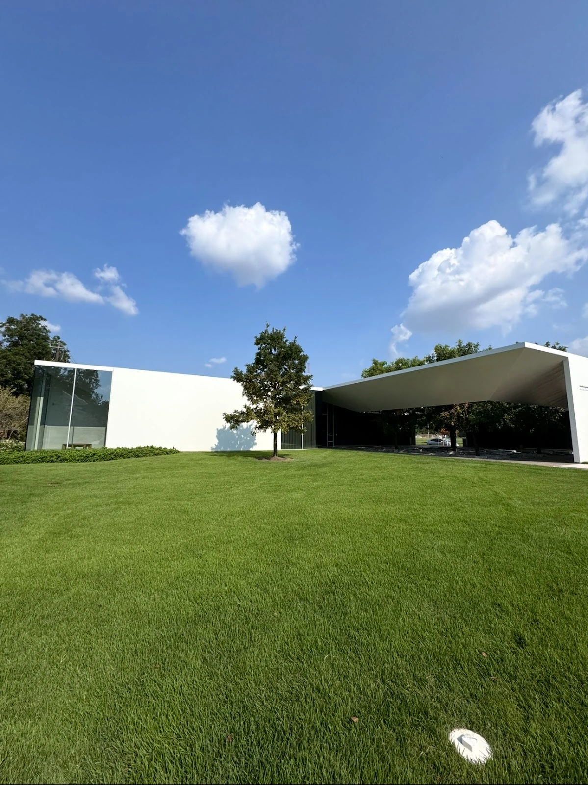 Cy Twombly Gallery gallery 5