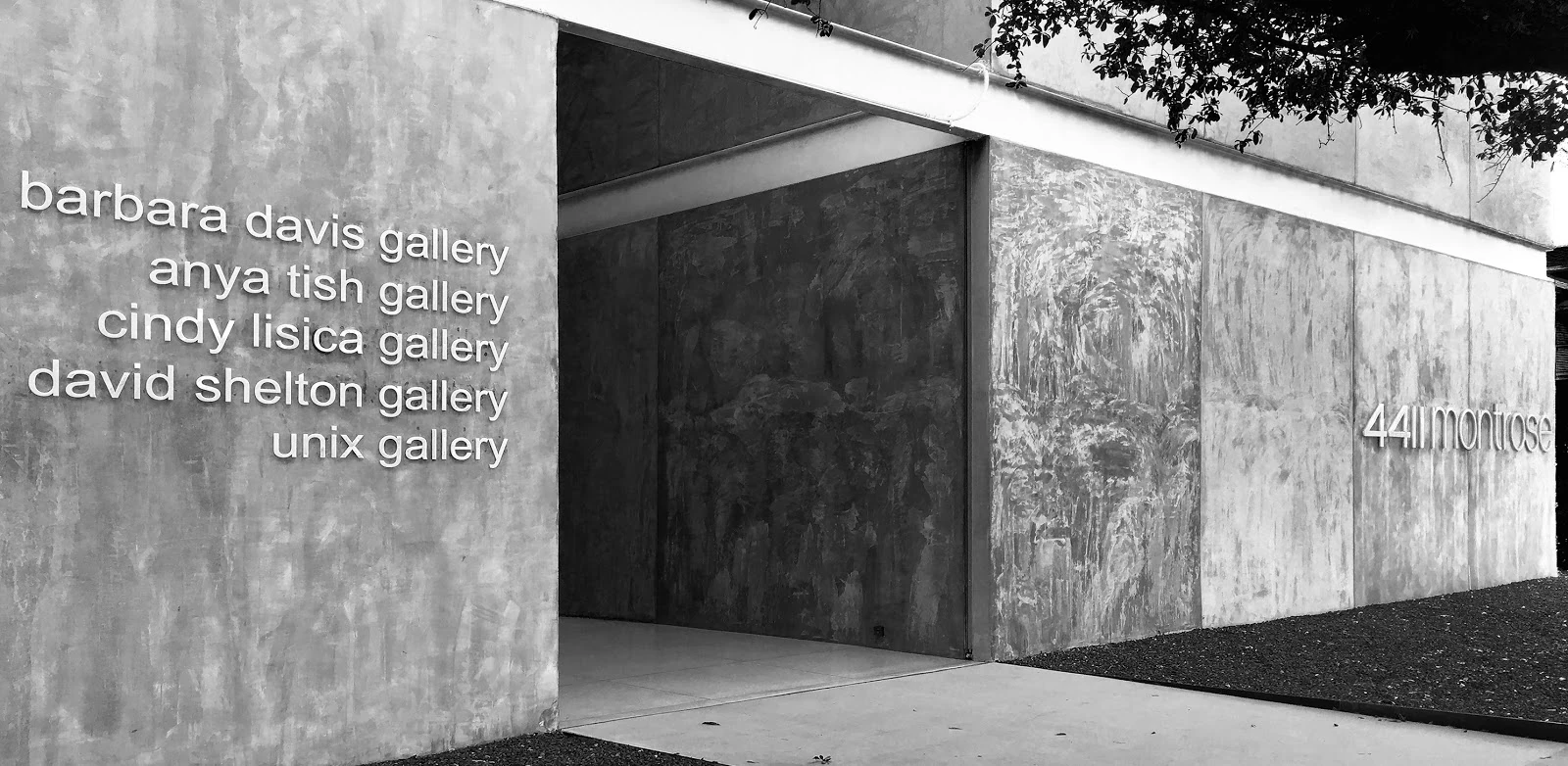 David Shelton Gallery gallery 1