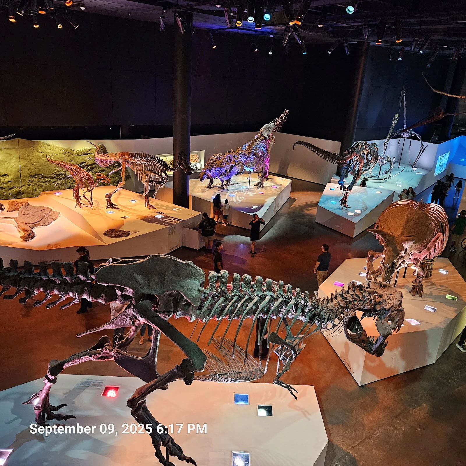 Houston Museum of Natural Science gallery 3