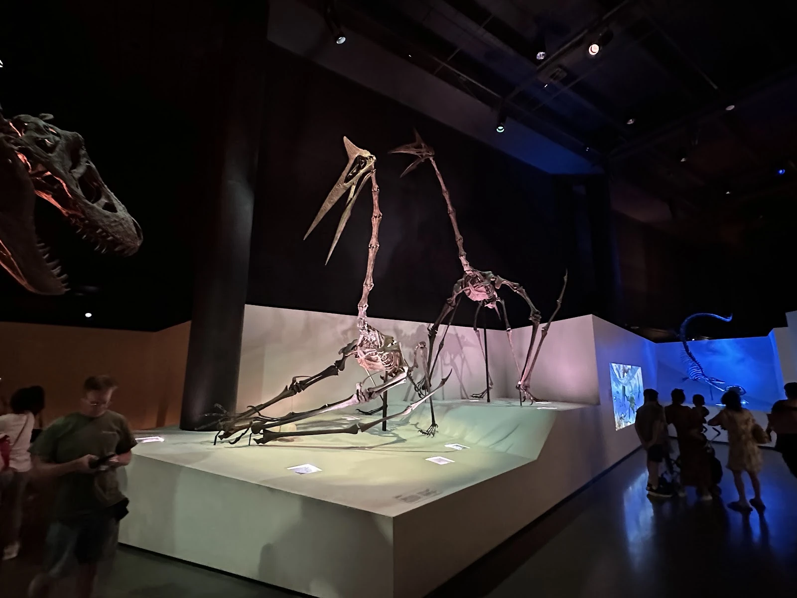 Houston Museum of Natural Science gallery 5