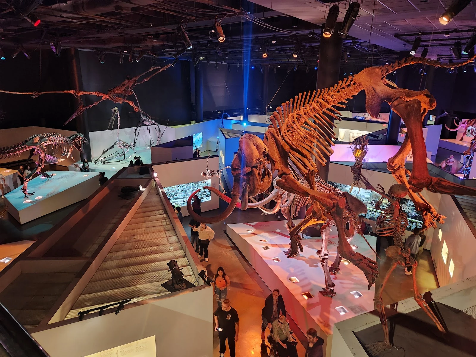 Houston Museum of Natural Science gallery 2