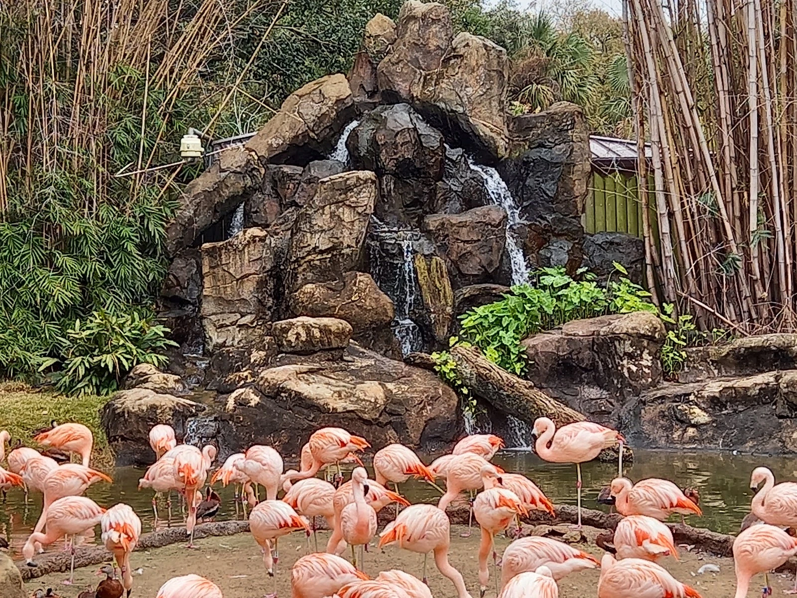 Houston Zoo gallery 1