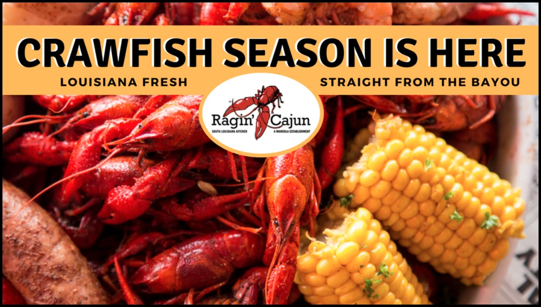 Ragin' Cajun gallery 2