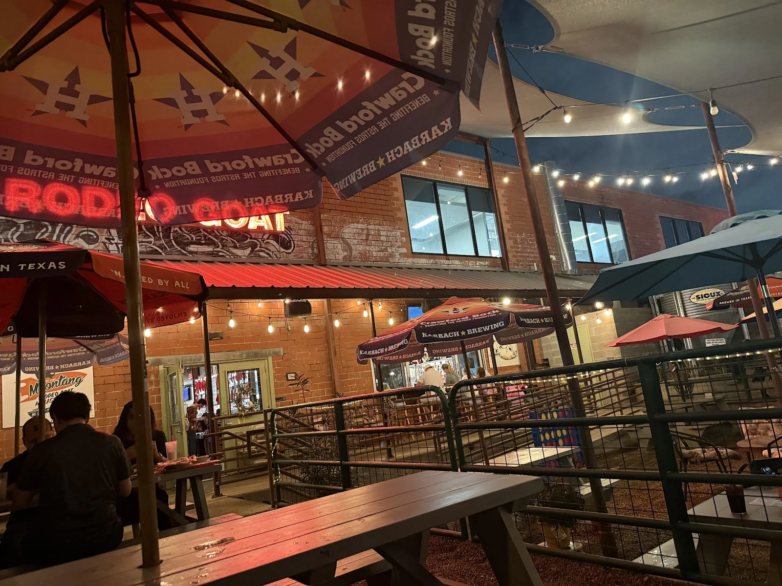 Rodeo Goat gallery 3