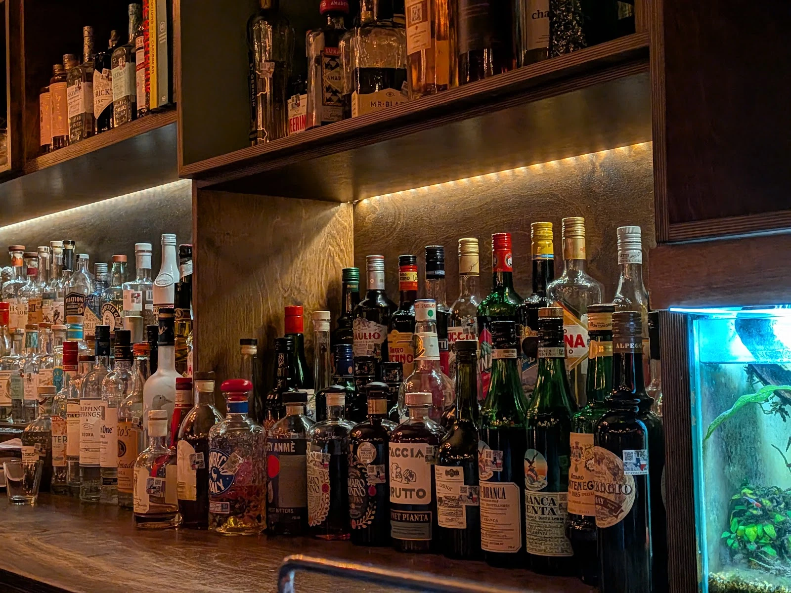 Tiny Champions gallery 5