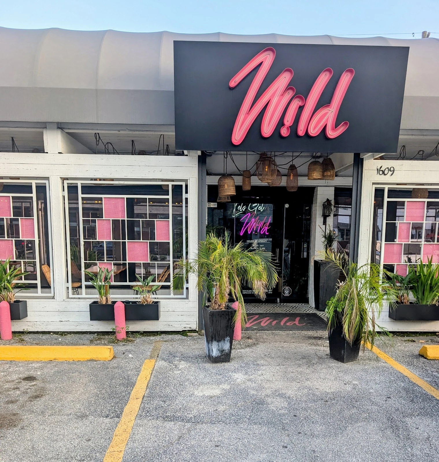 Wild gallery 6