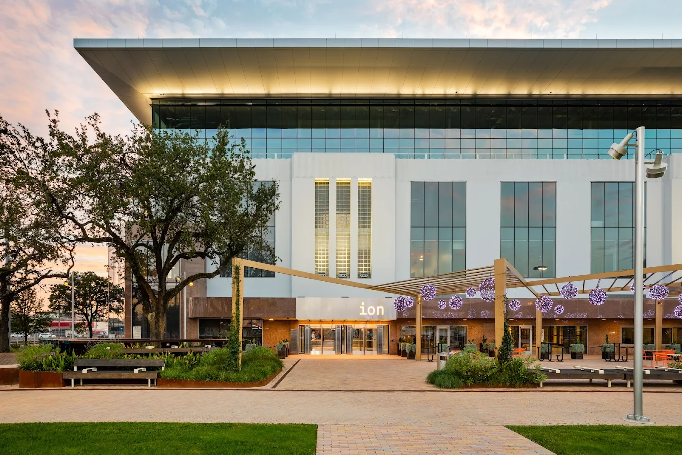 The ION